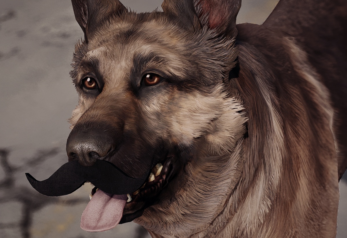 Put a moustache on Dogmeat and others in Fallout 4 with the Movember Mod